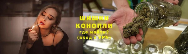 дмт Пестово